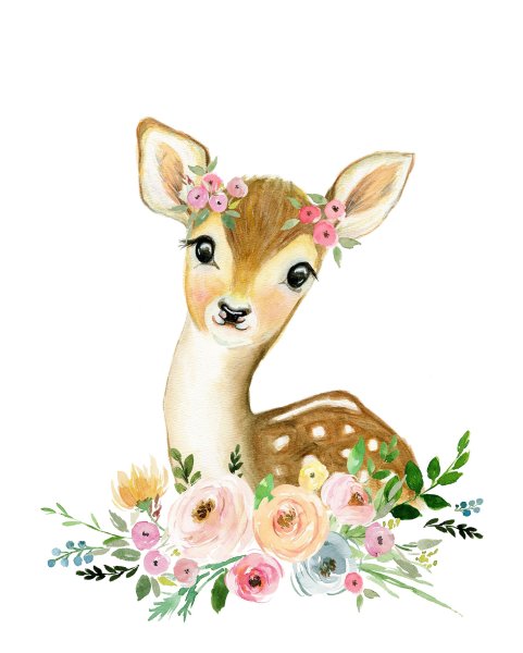 Олененок Акварельные иллюстрации
