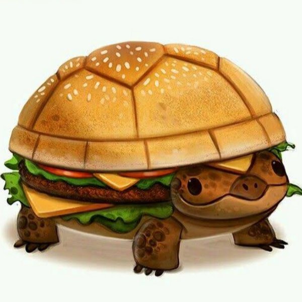 Милая черепашка арт