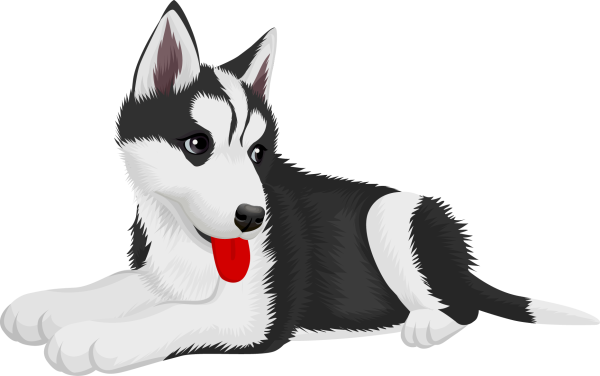 Хаски щенок