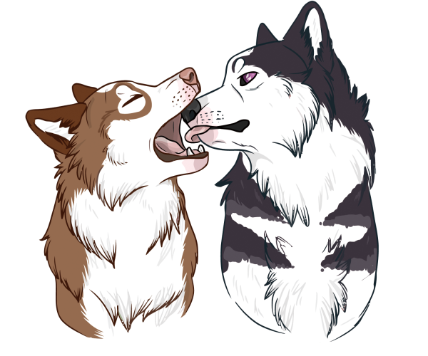 Хаски мультяшные