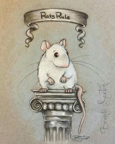 Рисунок крыски