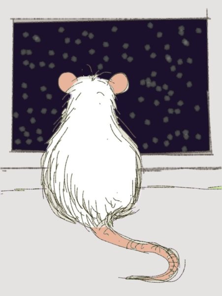 Милые арты крыс