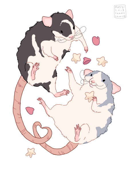 Милые арты крыс