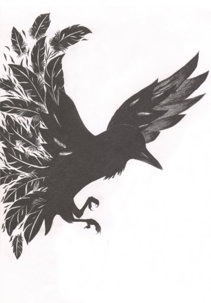 Ворона арты милые