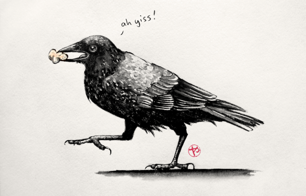 Рейвен ворон