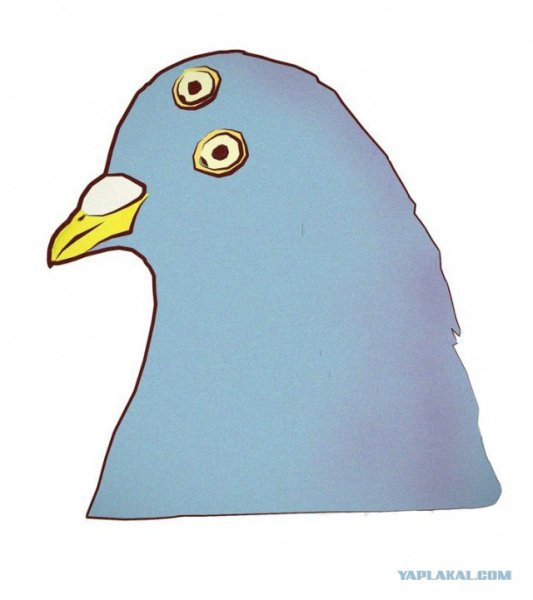 Голубь рисунок смешной