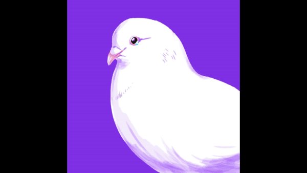 Милые голуби