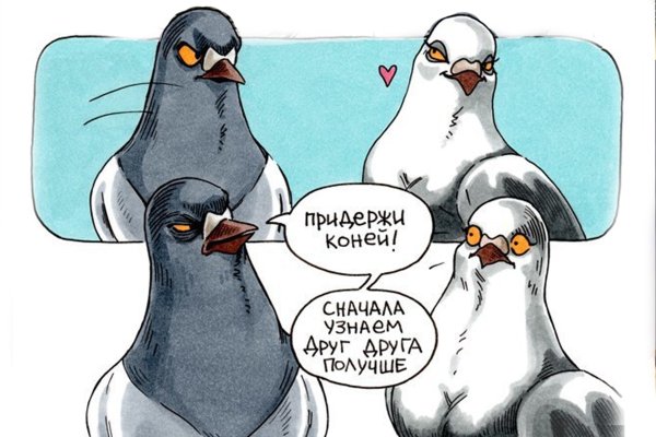 Голубь карикатура