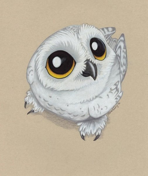 Софа Букля из Гарии потора