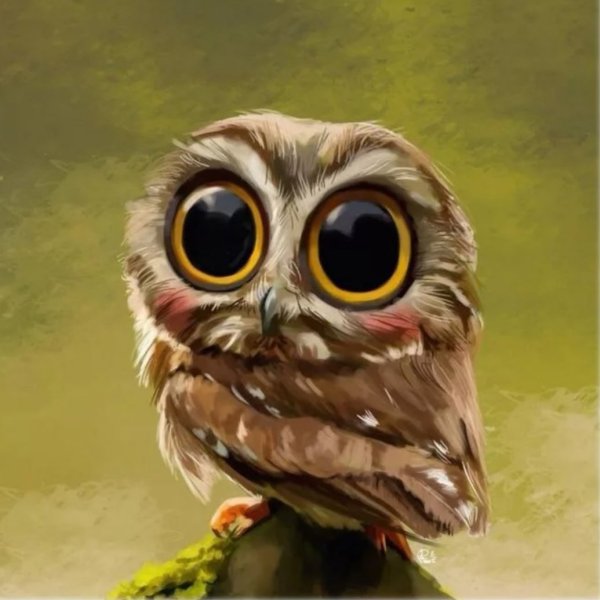 Сова с большими глазами