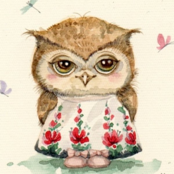 Инга Пельтцер Совы