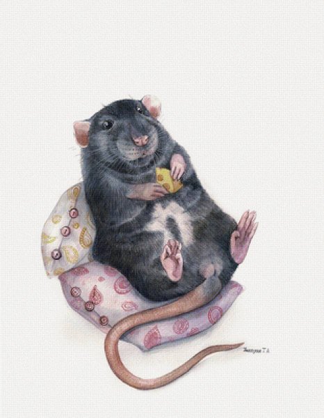 Крыса арт