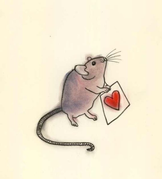Крыса для срисовки милые