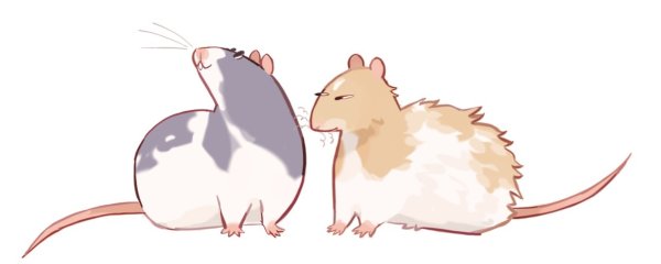 Крыса милый арт