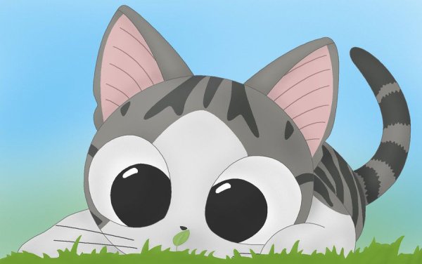 Аниме дом Чии