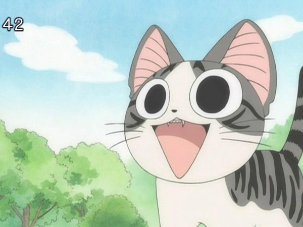 Милый дом Чии