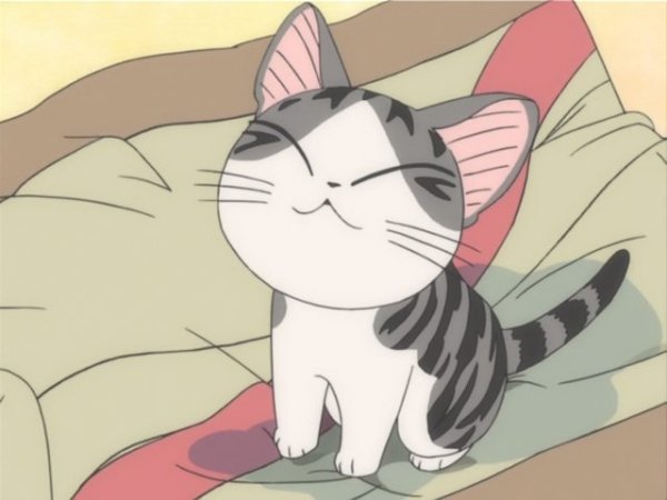 Аниме милый дом Чии кот