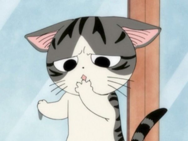 Милый дом Чии мультсериал