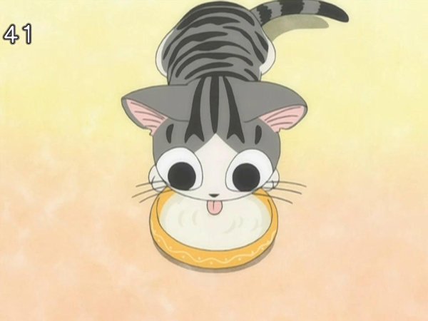 Котенок чи аниме