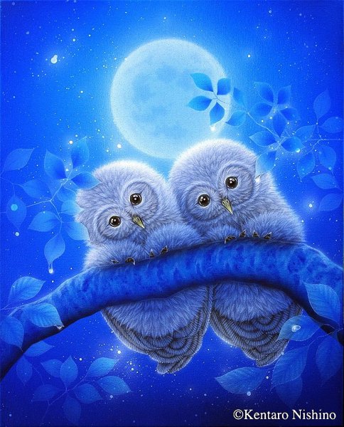 Кентаро Нишино