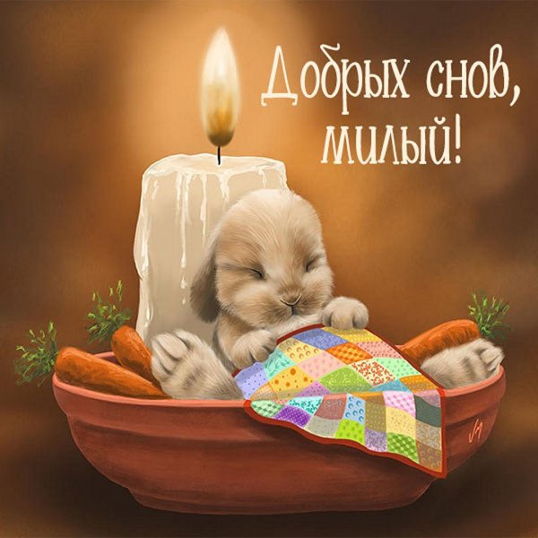 Сказочный сон