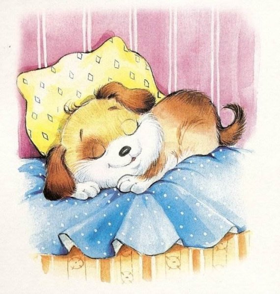 Спокойной ночи, Медвежонок!