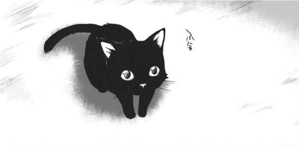 Аниме кошка