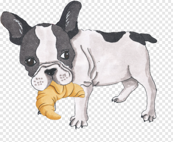 Мультяшные французские бульдоги