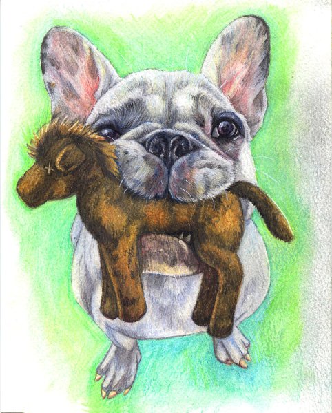 Рисовать французского бульдога