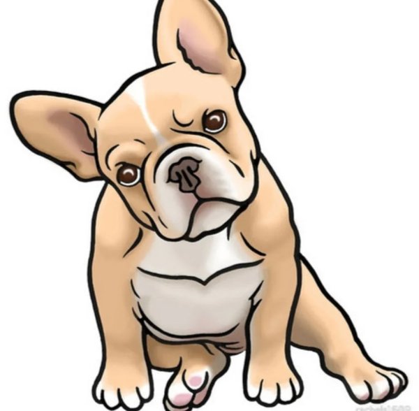 Французский бульдог рисунок