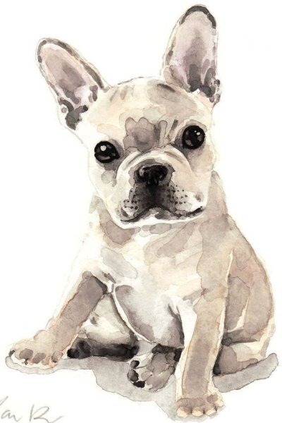 Бульдог в очках вектор