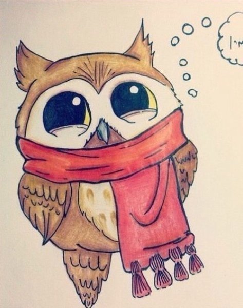 Сова рисунок для срисовки