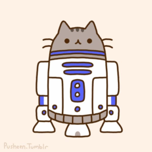 Кот Пушин Звёздные войны