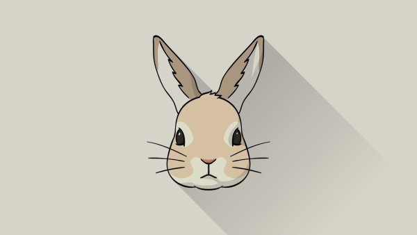 Иллюстратор кролик