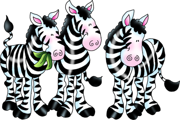 Милые зебры раскраска