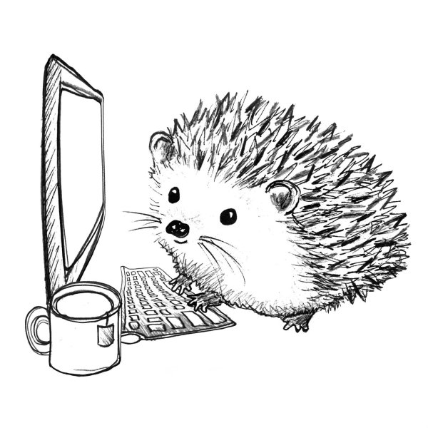 Ежик иллюстрация