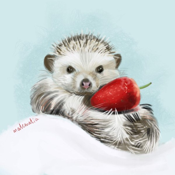 Еж милый арт