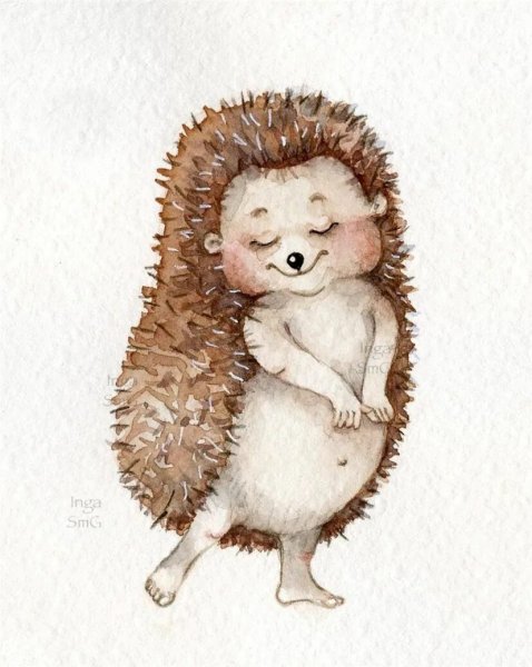 Ёжик акварелью Инга Измайлова