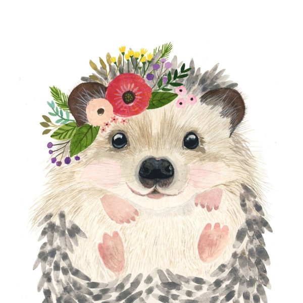 Ежик рисунок