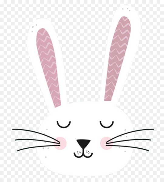 Милые мордочки зайчиков