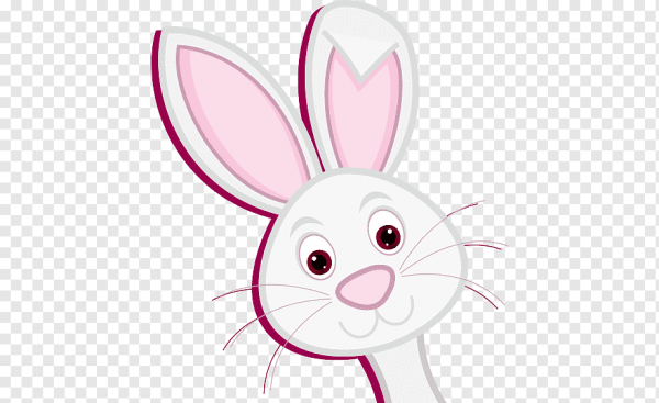 Морда зайца вектор