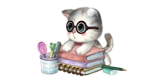 Котик ученик иллюстрации