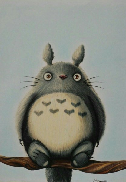 Милые животные Тоторо