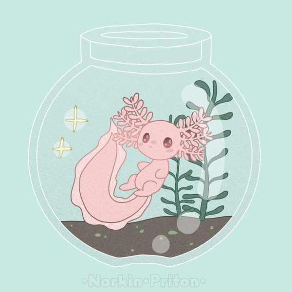 Обои с аксолотлем милые