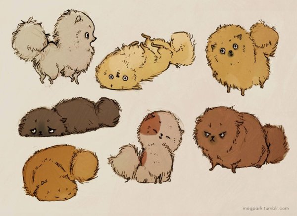 Рисунки с милыми лапками