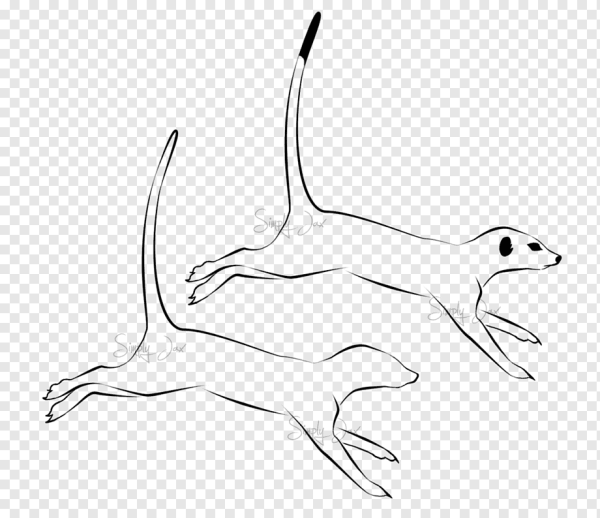 Тату суриката