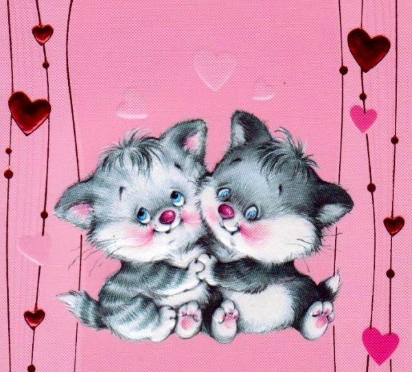 Котята любовь