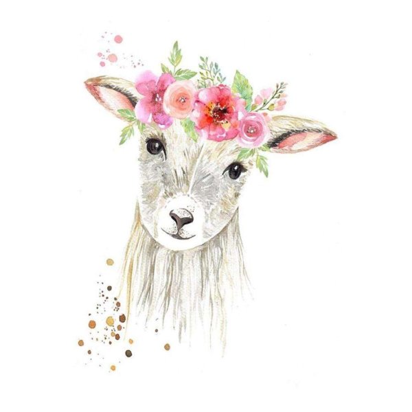 Козленок акварель