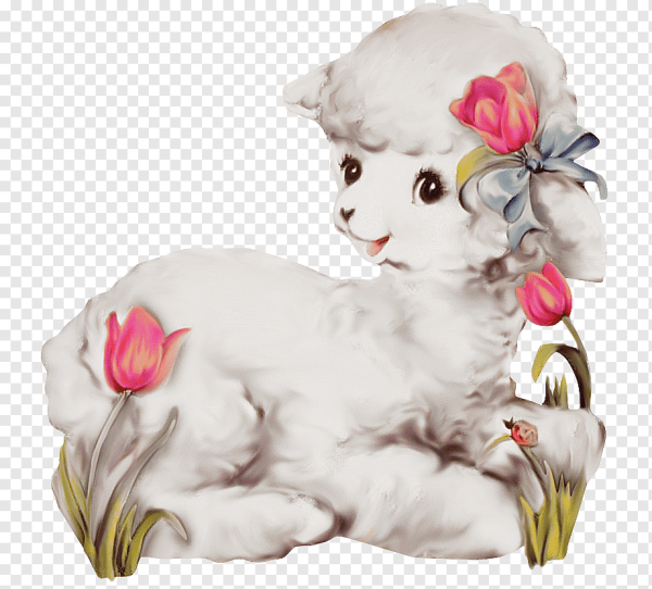 Овечка и цветы