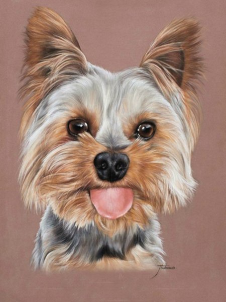 Йорк терьер Бивер акрилом
